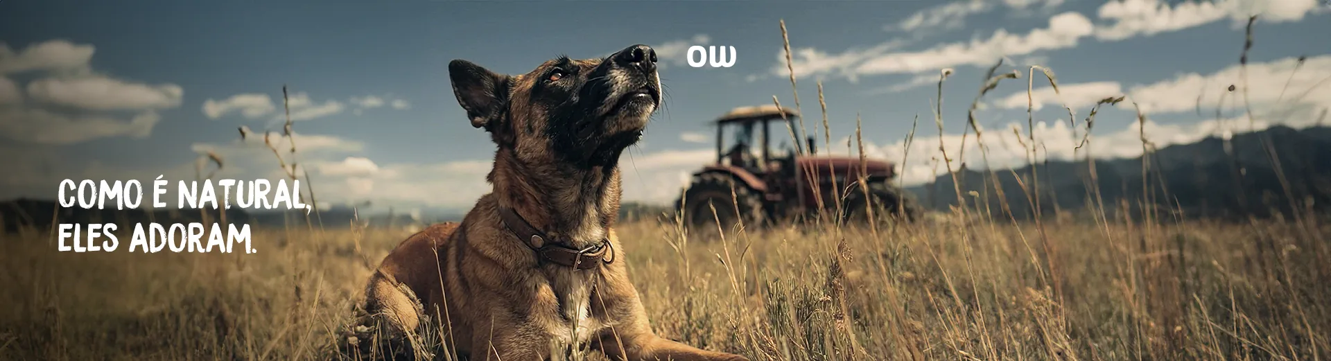 Ownat — como é natural, eles adoram